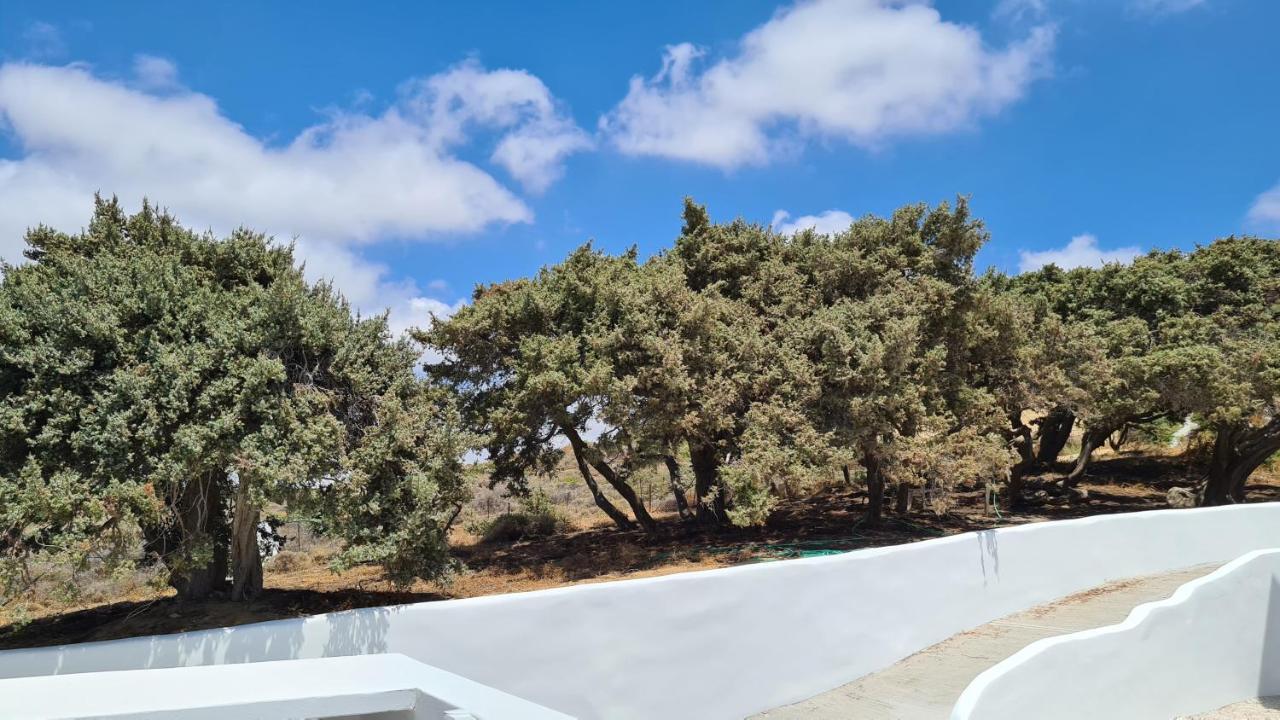 Seanfinity Beachfront Suites Mikri Vigla Exterior foto